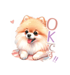 ポメラニアンスタンプ pomeranian（個別スタンプ：4）