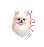 ポメラニアンスタンプ pomeranian（個別スタンプ：7）