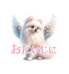 ポメラニアンスタンプ pomeranian（個別スタンプ：10）