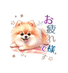 ポメラニアンスタンプ pomeranian（個別スタンプ：11）