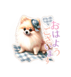 ポメラニアンスタンプ pomeranian（個別スタンプ：12）