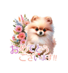 ポメラニアンスタンプ pomeranian（個別スタンプ：14）