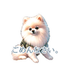 ポメラニアンスタンプ pomeranian（個別スタンプ：22）