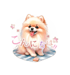 ポメラニアンスタンプ pomeranian（個別スタンプ：24）