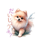 ポメラニアンスタンプ pomeranian（個別スタンプ：27）