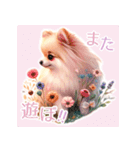 ポメラニアンスタンプ pomeranian（個別スタンプ：29）