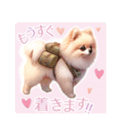 ポメラニアンスタンプ pomeranian（個別スタンプ：30）