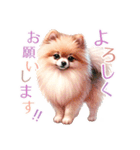 ポメラニアンスタンプ pomeranian（個別スタンプ：31）