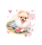 ポメラニアンスタンプ pomeranian（個別スタンプ：34）