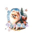 ポメラニアンスタンプ pomeranian（個別スタンプ：36）