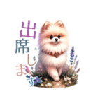 ポメラニアンスタンプ pomeranian（個別スタンプ：38）