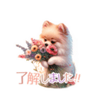 ポメラニアンスタンプ pomeranian（個別スタンプ：39）