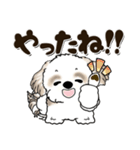 シーズー犬 『頑張り屋さん』working hard！（個別スタンプ：29）