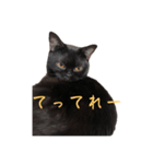 ぐぅ心拳（個別スタンプ：2）