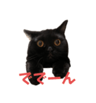 ぐぅ心拳（個別スタンプ：11）