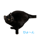 ぐぅ心拳（個別スタンプ：19）