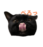 ぐぅ心拳（個別スタンプ：21）