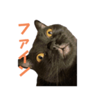 ぐぅ心拳（個別スタンプ：25）