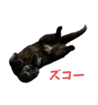 ぐぅ心拳（個別スタンプ：34）