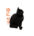 ぐぅ心拳（個別スタンプ：38）