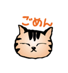 集まれニャンコの顔芸シリーズ（個別スタンプ：1）