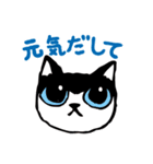 集まれニャンコの顔芸シリーズ（個別スタンプ：11）