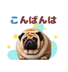 日常会話♪太っちょパグたん（個別スタンプ：3）