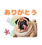 日常会話♪太っちょパグたん（個別スタンプ：13）