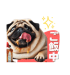日常会話♪太っちょパグたん（個別スタンプ：23）