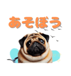 日常会話♪太っちょパグたん（個別スタンプ：30）