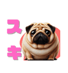 日常会話♪太っちょパグたん（個別スタンプ：37）