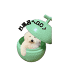 朗らかな犬（個別スタンプ：6）