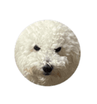 朗らかな犬（個別スタンプ：14）