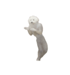 朗らかな犬（個別スタンプ：16）