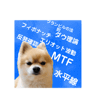 トレードするポメラニアン（個別スタンプ：15）