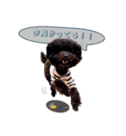 Raouの日常スタンプ（個別スタンプ：11）