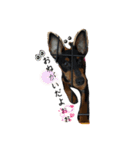 いやあし（個別スタンプ：9）