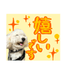 うちのワンちゃん【敬語】（個別スタンプ：2）