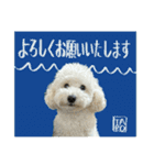 うちのワンちゃん【敬語】（個別スタンプ：5）