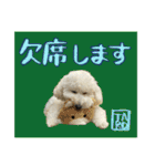 うちのワンちゃん【敬語】（個別スタンプ：14）
