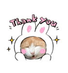 CAT_PEPE.BIBI（個別スタンプ：2）