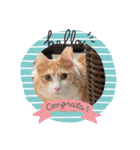 CAT_PEPE.BIBI（個別スタンプ：6）
