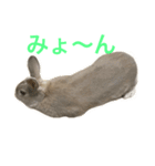 うさぎのいなり3（個別スタンプ：9）