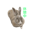 うさぎのいなり3（個別スタンプ：14）
