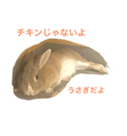 うさぎのいなり3（個別スタンプ：15）