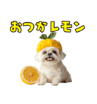 どうしてもダジャレを言いたい犬（個別スタンプ：1）