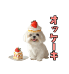 どうしてもダジャレを言いたい犬（個別スタンプ：3）