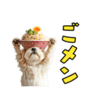 どうしてもダジャレを言いたい犬（個別スタンプ：6）