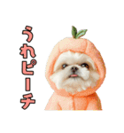 どうしてもダジャレを言いたい犬（個別スタンプ：7）
