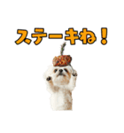 どうしてもダジャレを言いたい犬（個別スタンプ：16）